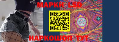 шишки Дубна