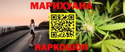 шишки Дубна