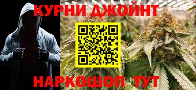 шишки Дубна