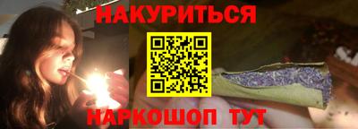 шишки Дубна