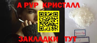 шишки Дубна