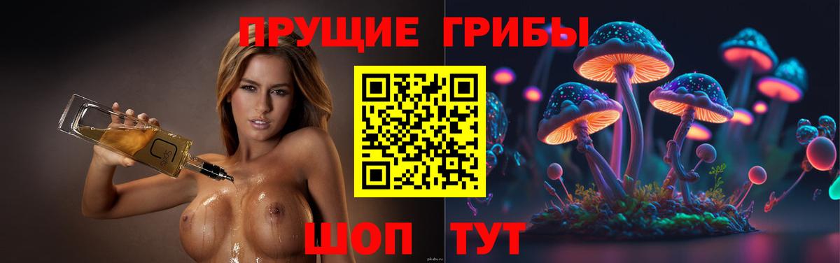 Галлюциногенные грибы MAGIC MUSHROOMS  Псилоцибиновые грибы MAGIC MUSHROOMS  Заводоуковск  где можно купить наркотик  Вход с VPN 